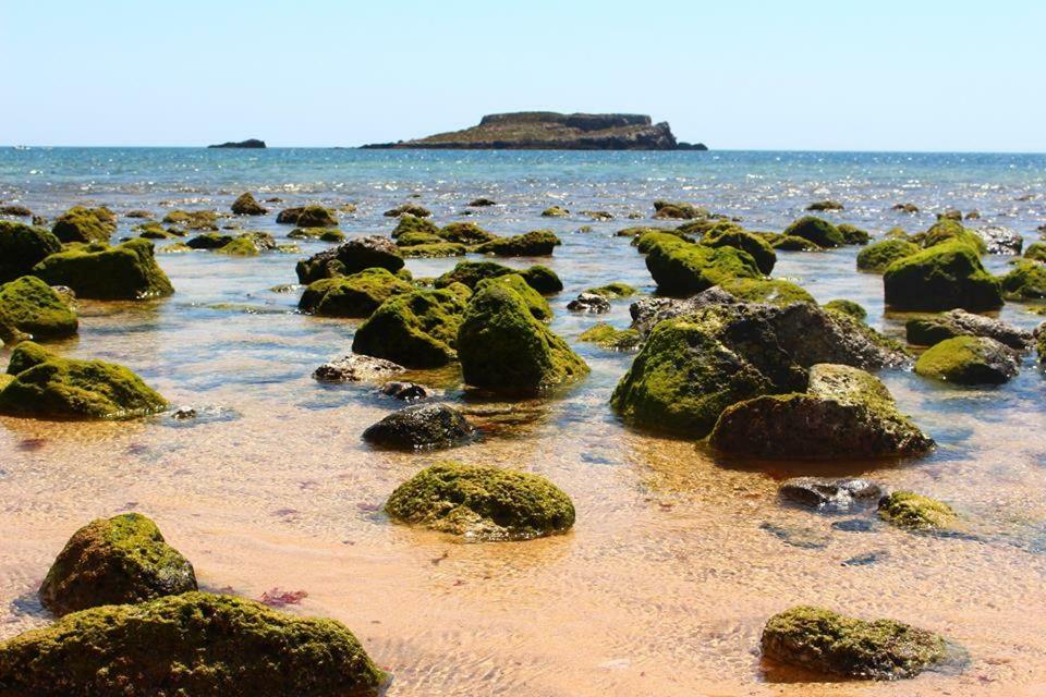 Homestay Oceanus With Private Kitchen, Bathroom And Terrace 300m From The